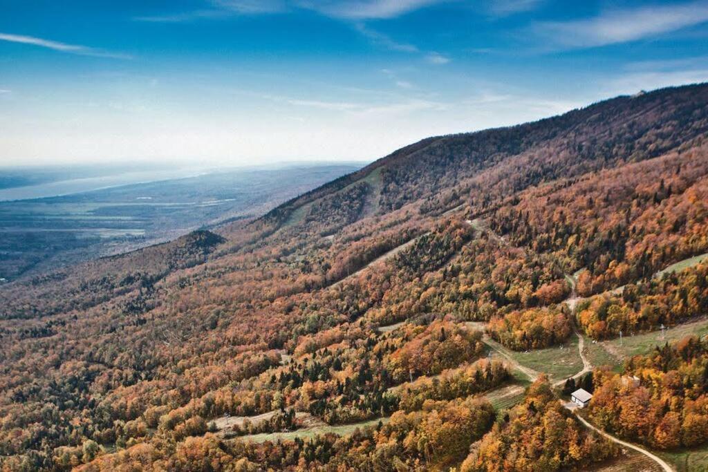Initial / Loft De La Montagne / Msa Daire Saint-Ferreol-les-Neiges Dış mekan fotoğraf